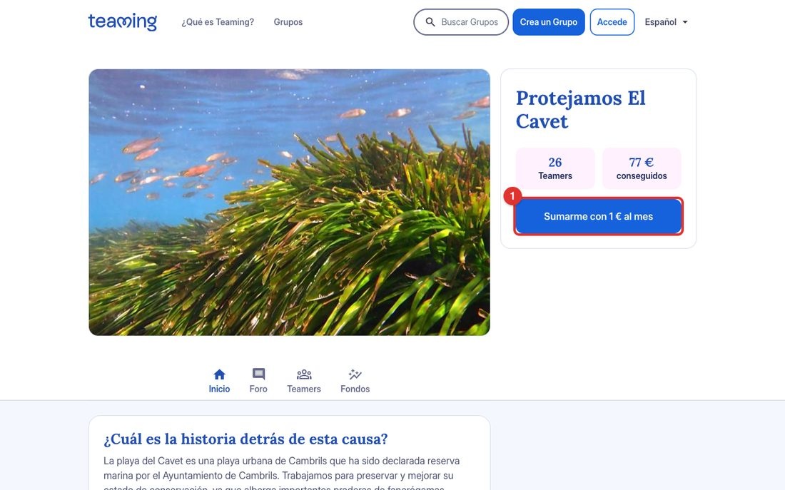 Fitxa del grup a l'ordinador: prem ① «Sumarme con 1 € al mes».